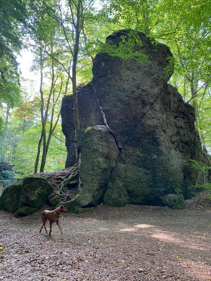Ferienhaus Waldblick Hohenfels-Essingen Dış mekan fotoğraf
